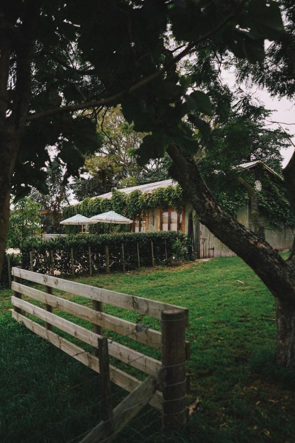 Converted Barn - Tiger House Hermitage Havelock North Exteriér fotografie