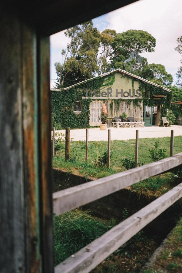 Converted Barn - Tiger House Hermitage Havelock North Exteriér fotografie